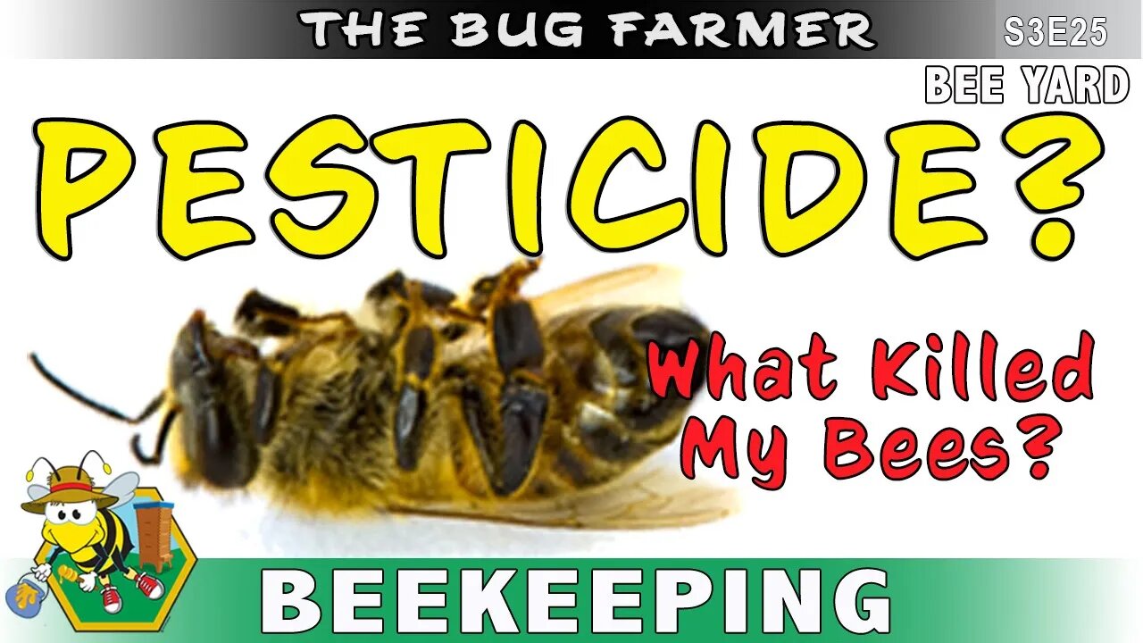 Is Pesticide Killing My Bees? The White hive may have been poisoned.