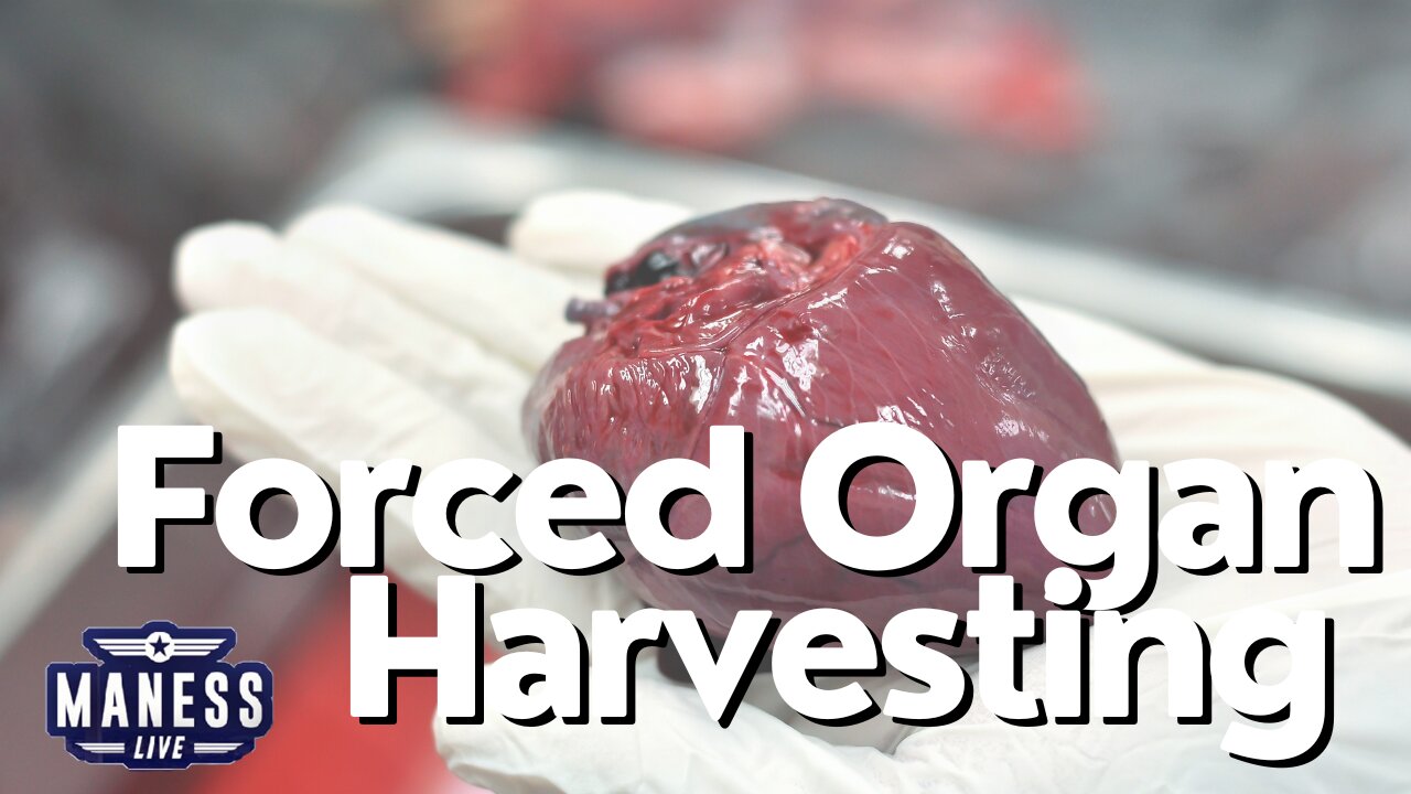 China’s Organ Harvesting - It Is Training Tuesday | The Rob Maness Show EP 197