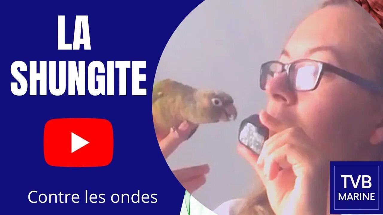 La Shungite contre les ondes