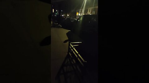 The police are harassing me in New York City 2021.