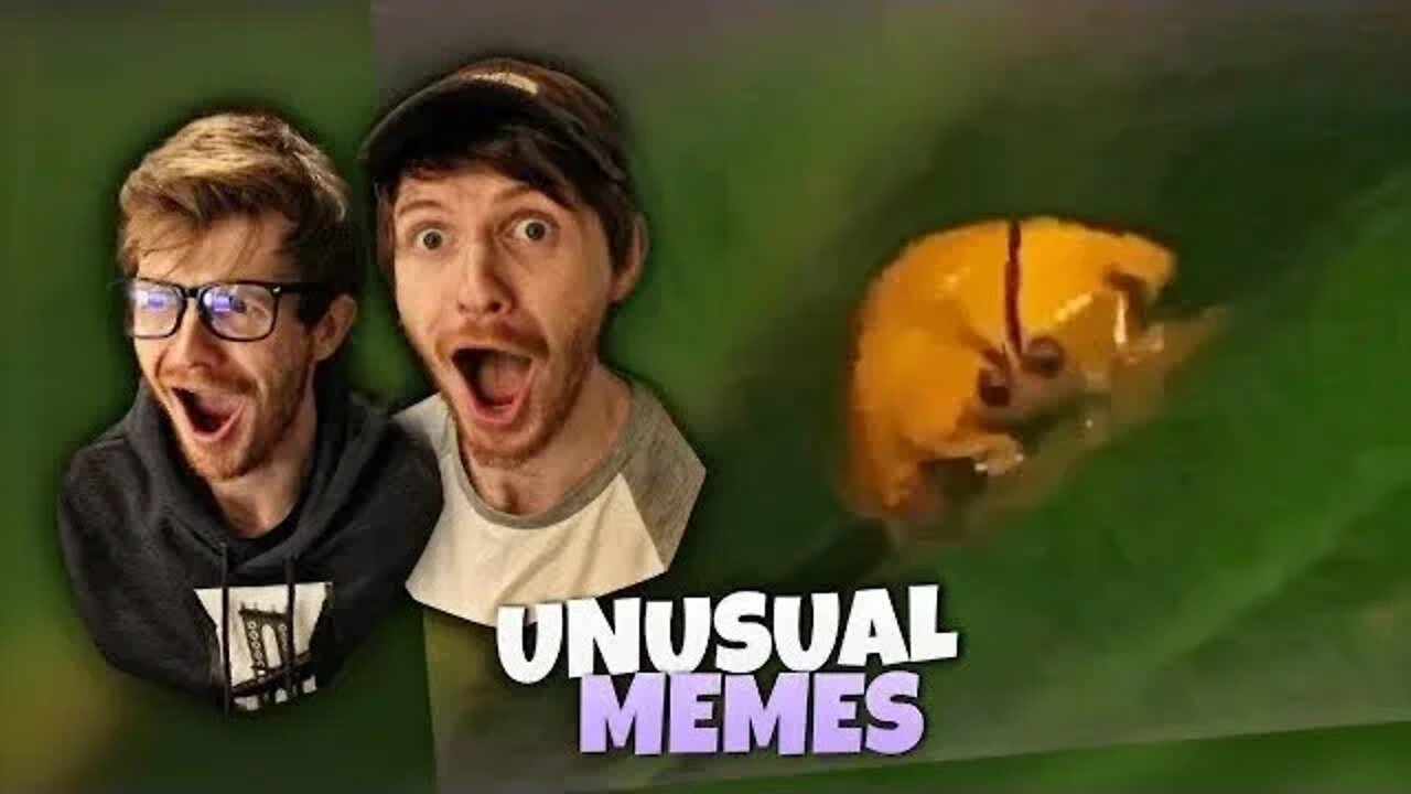 MORE MEMES! 😂 UNUSUAL MEMES COMPILATION (REACTION)