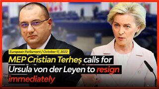 MEP Cristian Terheș Calls for the Immediate Resignation of Ursula von der Leyen