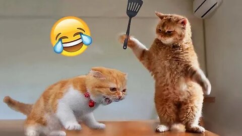 Most Trending Animal Videos - Funniest Cats and Dogs 2024