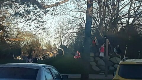 A windy cold day at the park