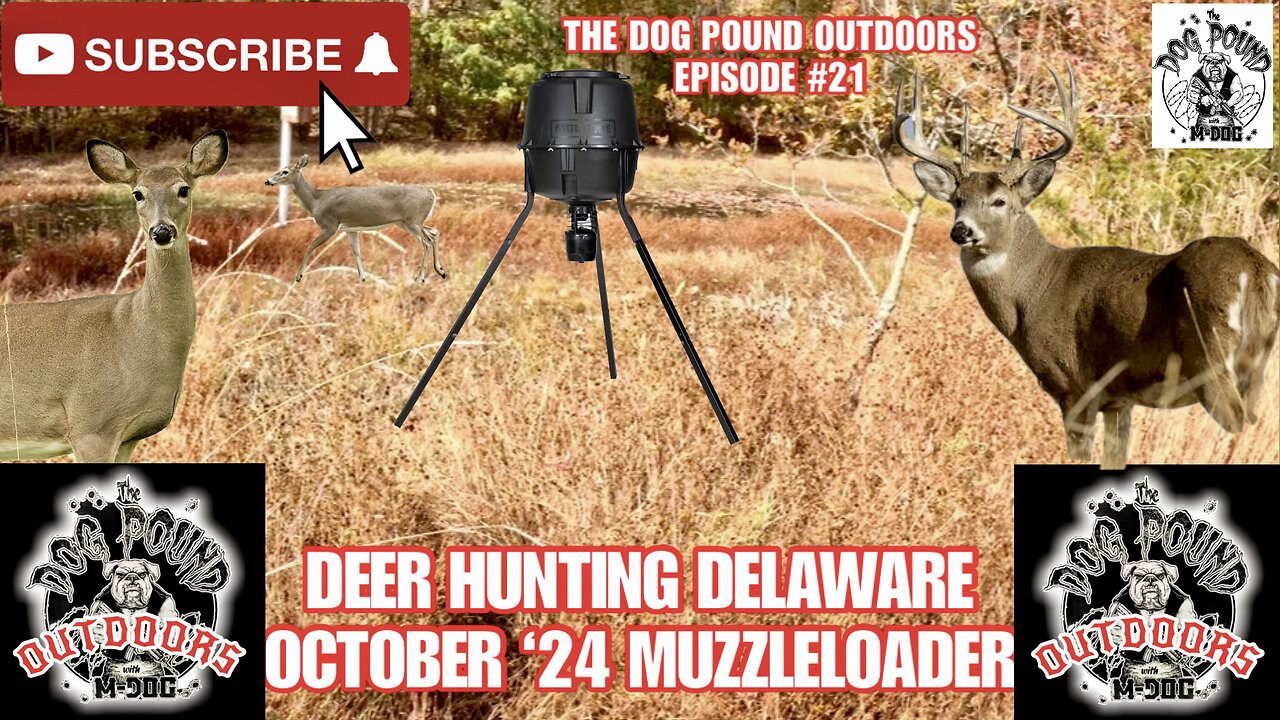 DEER HUNTING DELAWARE! OCTOBER ‘24 MUZZLELOADER HUNT PART 2!