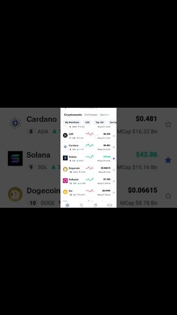 BEST TYPES OF CRYPTOS TO INVEST IN BEAR MARKET #cryptoinvesting #cryptonews #altcoinportfolio #btc