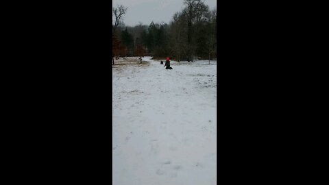 Sledding short take