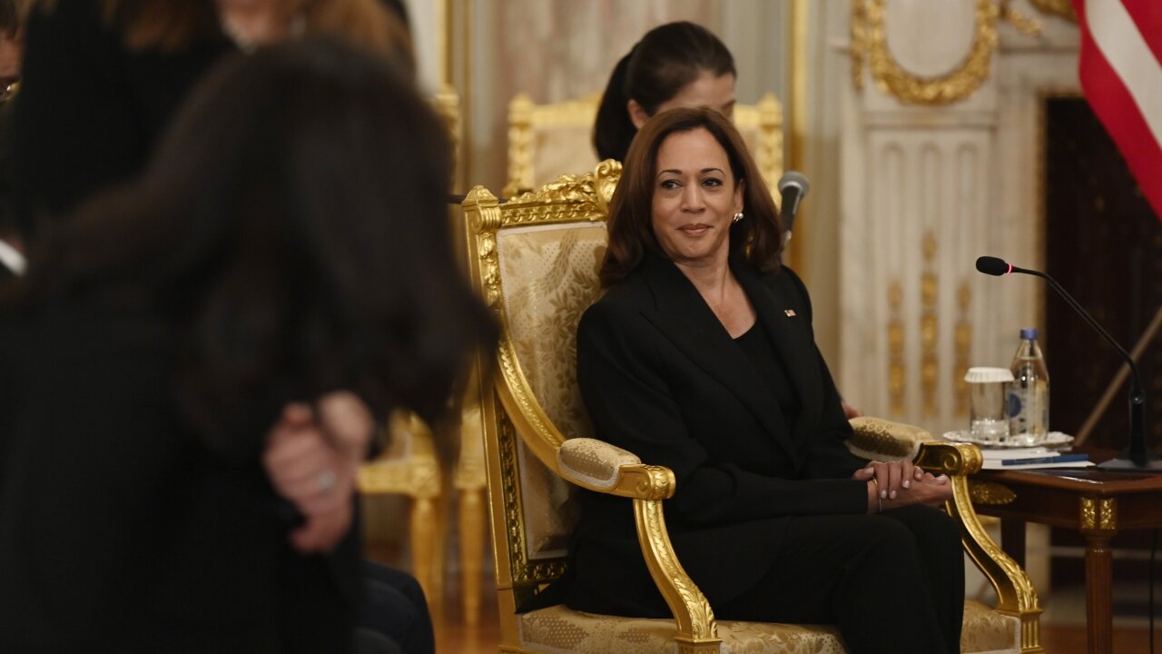 Vice President Harris Calls U.S.-Japan Alliance 'A Cornerstone'