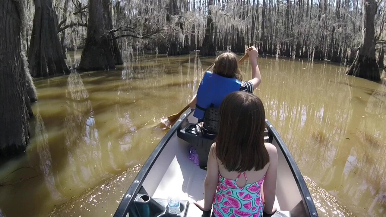 Canoeing among the bald cypress trees in Benton Lake