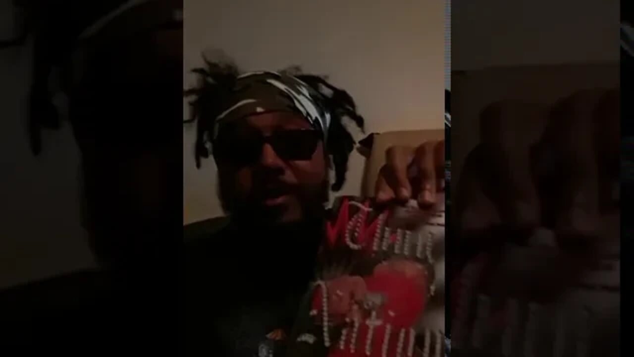 The History & Evolution of Thug Nation (Book Synopsis) Available on Amazon & Digital Bookstores!
