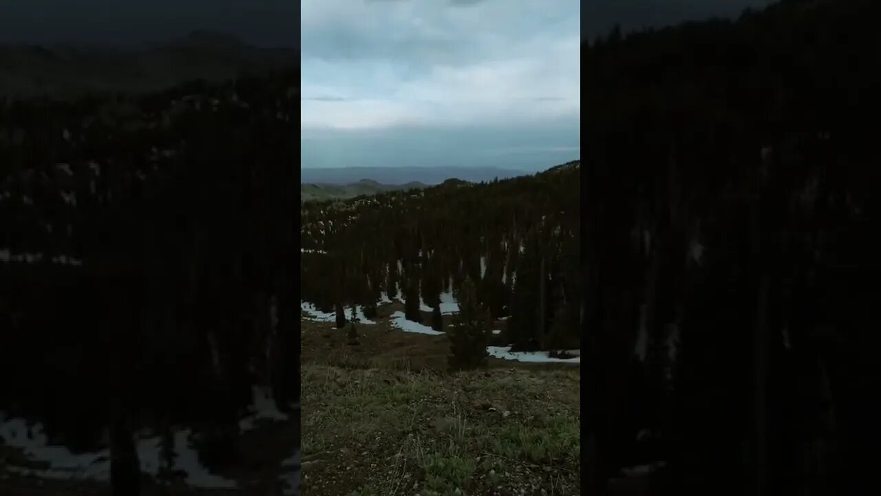 Just let go #utah #mountains #outdoors