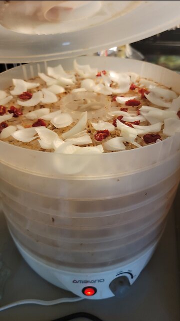 Dehydrating onions EDEN'S LIVING TV