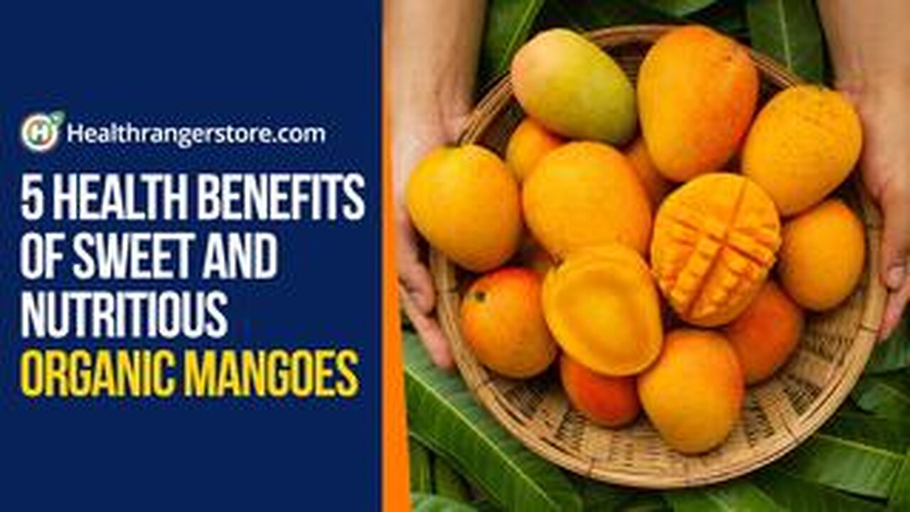 5 HEALTH BENEFITS OF SWEET AND NUTRITIOUS ORGANIC MANGOES