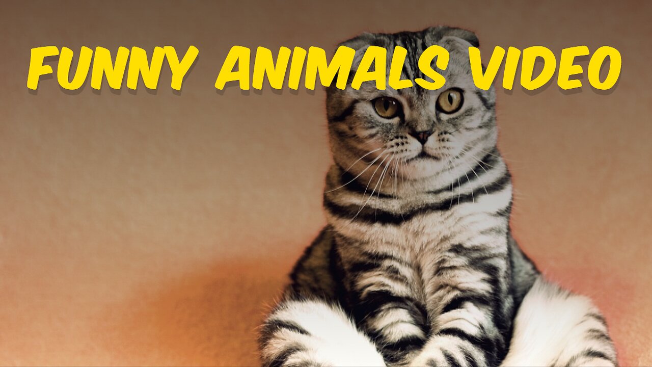 New Funny Animals Video 2023 | Funniest Cats and Dogs Videos