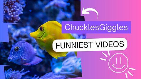 Animal Antics: Laugh-Out-Loud Funny Pranks Caught on Camera!