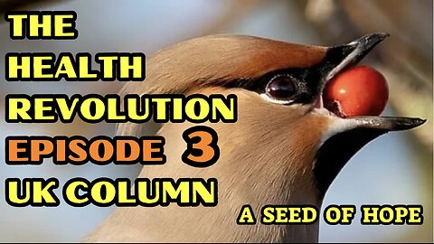 Health Revolution Episode 3 on The UK Column