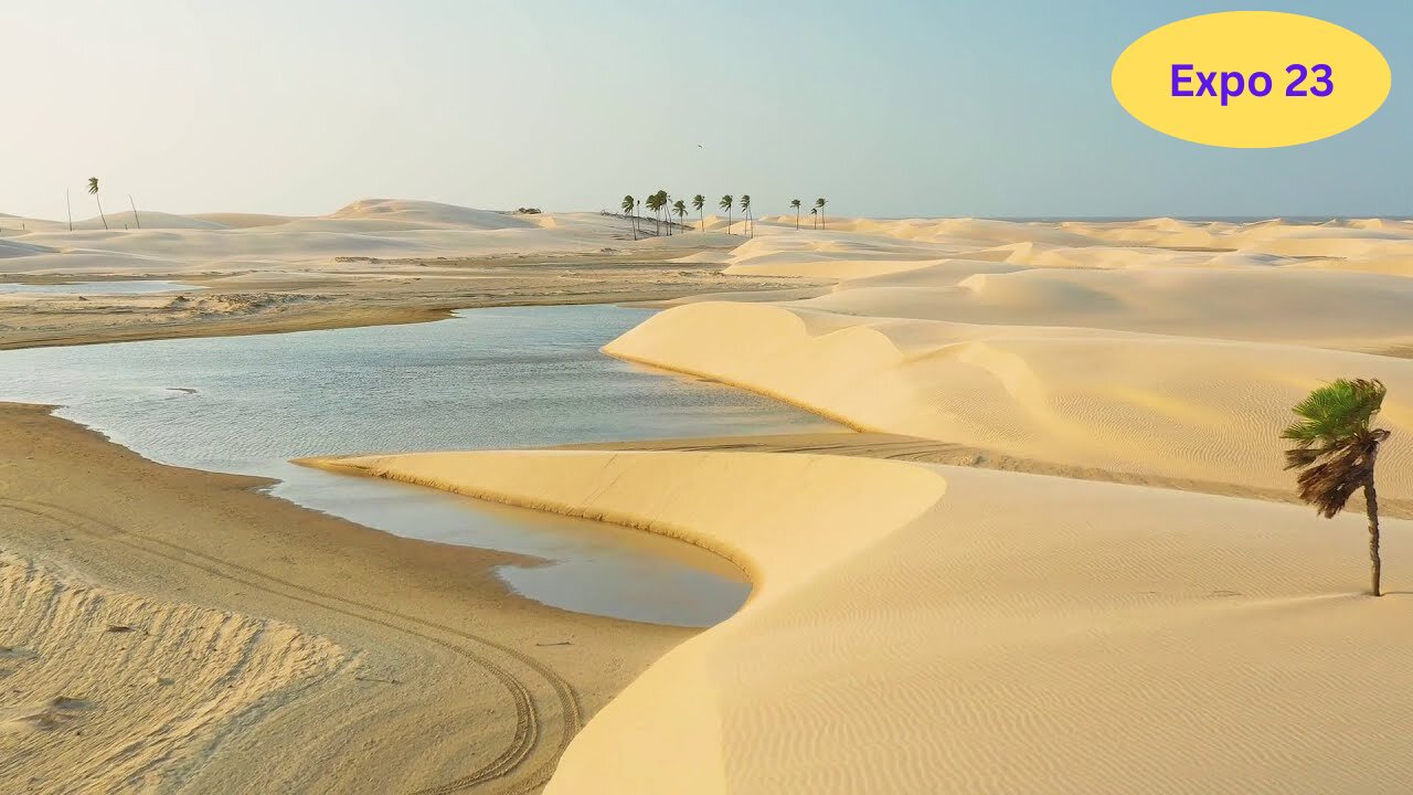 Desert | Dunes | Sand