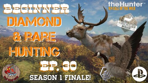 Beginner Diamond & Rare Hunting Ep 30 theHunter Call of the Wild