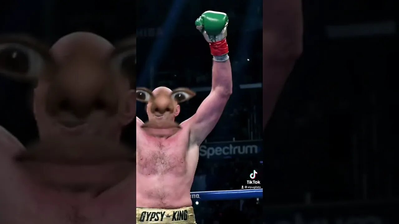 Todos saben que Beterbiev es intocable.