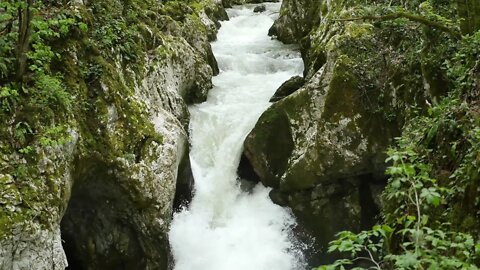 Water Flowing Through Rocks #SHORTS