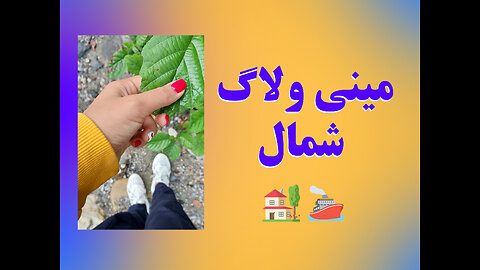 ایرانگردی