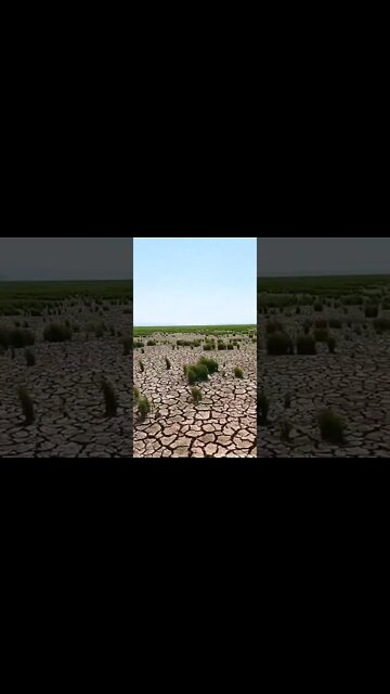 ۲۸ اوت ۲۰۲۲