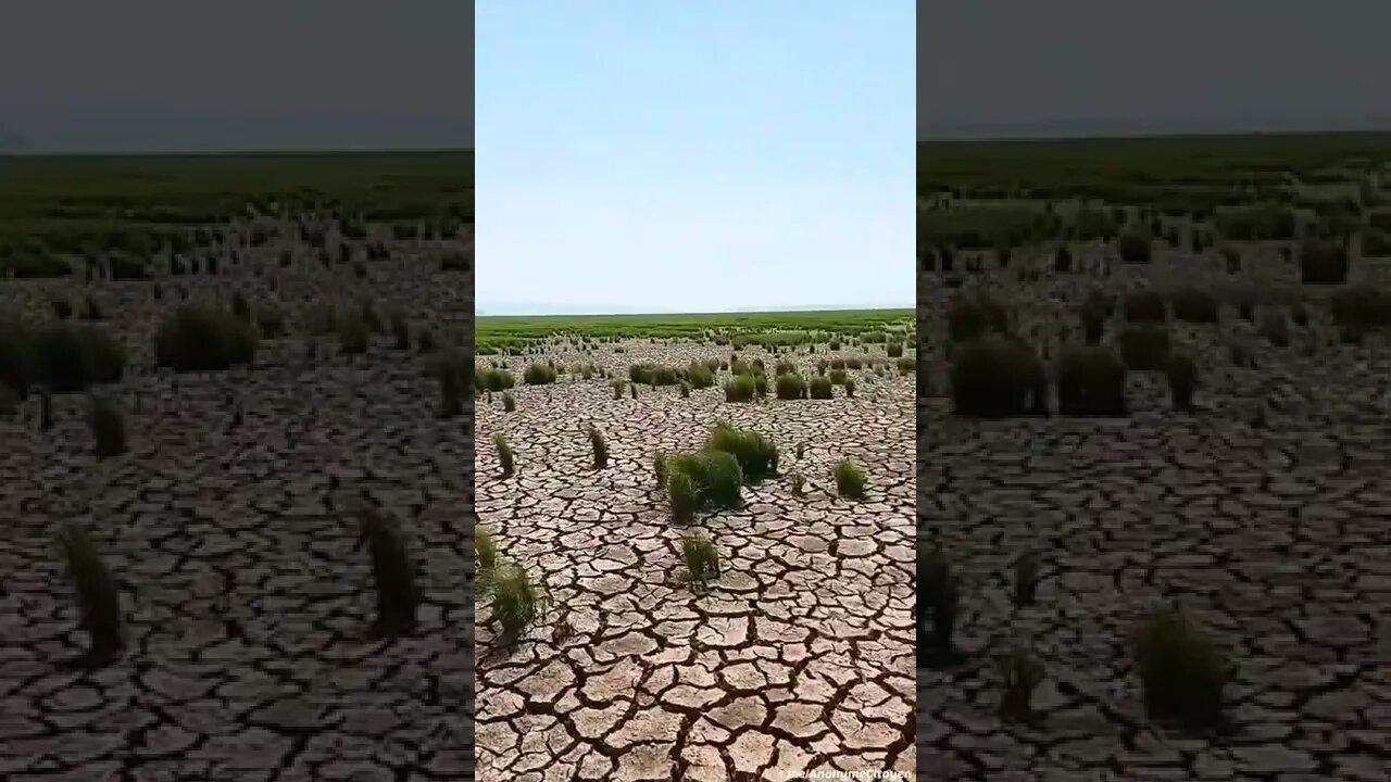 ۲۸ اوت ۲۰۲۲