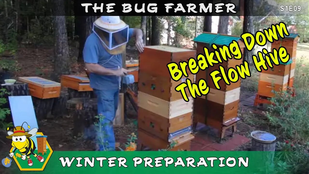 Getting the Flow Hives and the Standard Hives ready for Winter: Adding and testing my hive heaters.