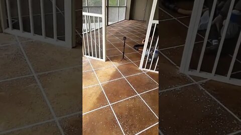 How to Resurface Concrete diy 👷‍♂️ #shorts #howto #diy