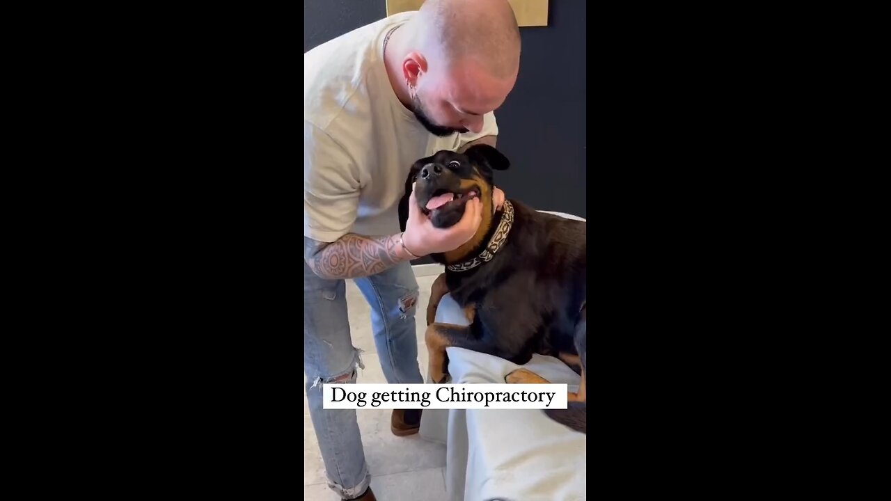 Animal attractions