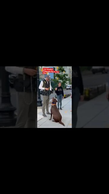 Down Town DC - Just Another Ridgeside Day In The City. Doh Training For The Real World.