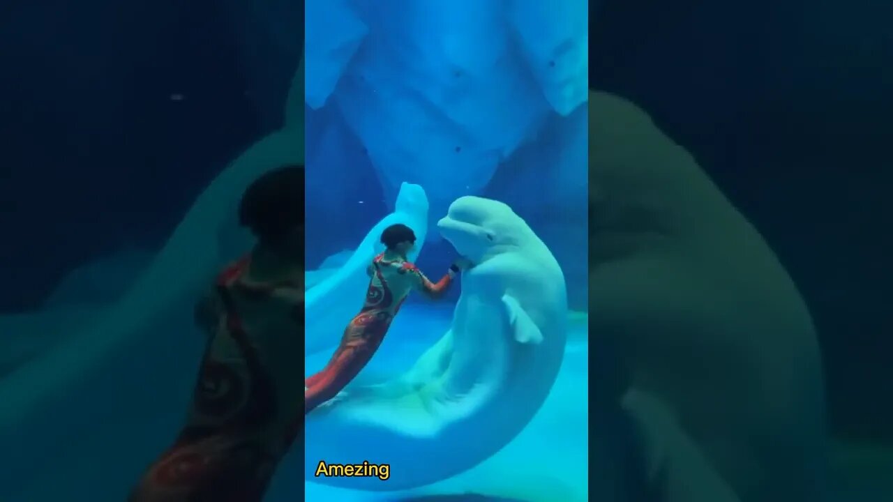 Amezing