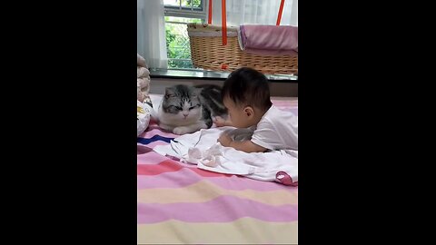 cat and baby playing ,can, baby love