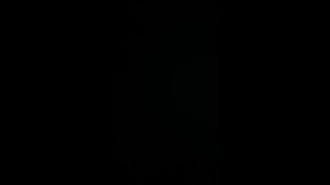 War with China likely