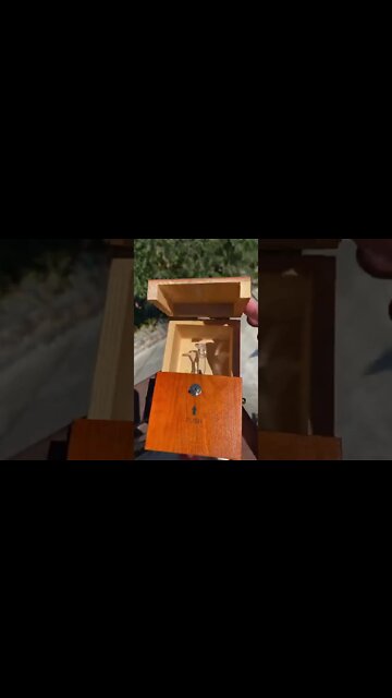 #shorts #2022 funny,prank,funjokes,dad jokes,funny memes,funny video,fun,laughing,funny animal,knock