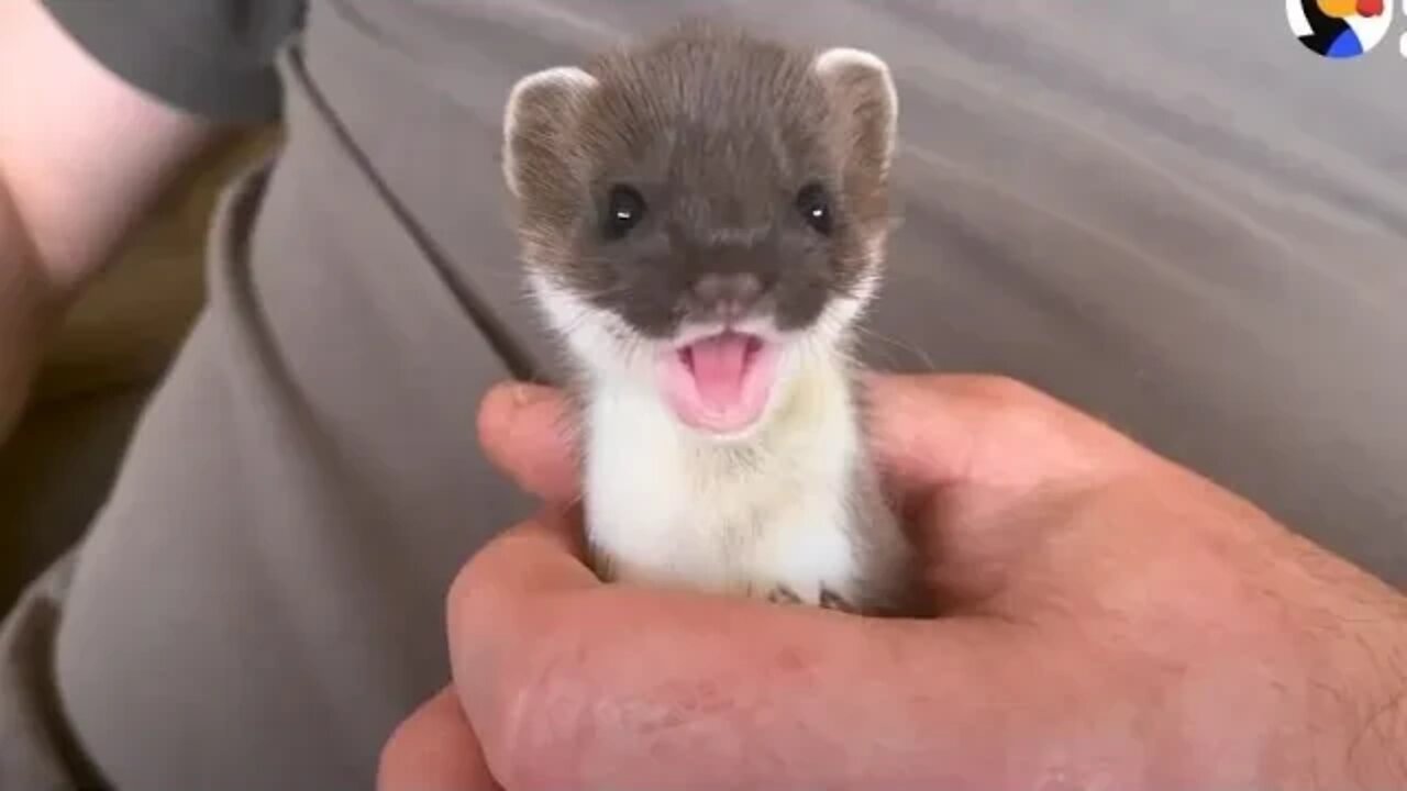 This little guy is so cute