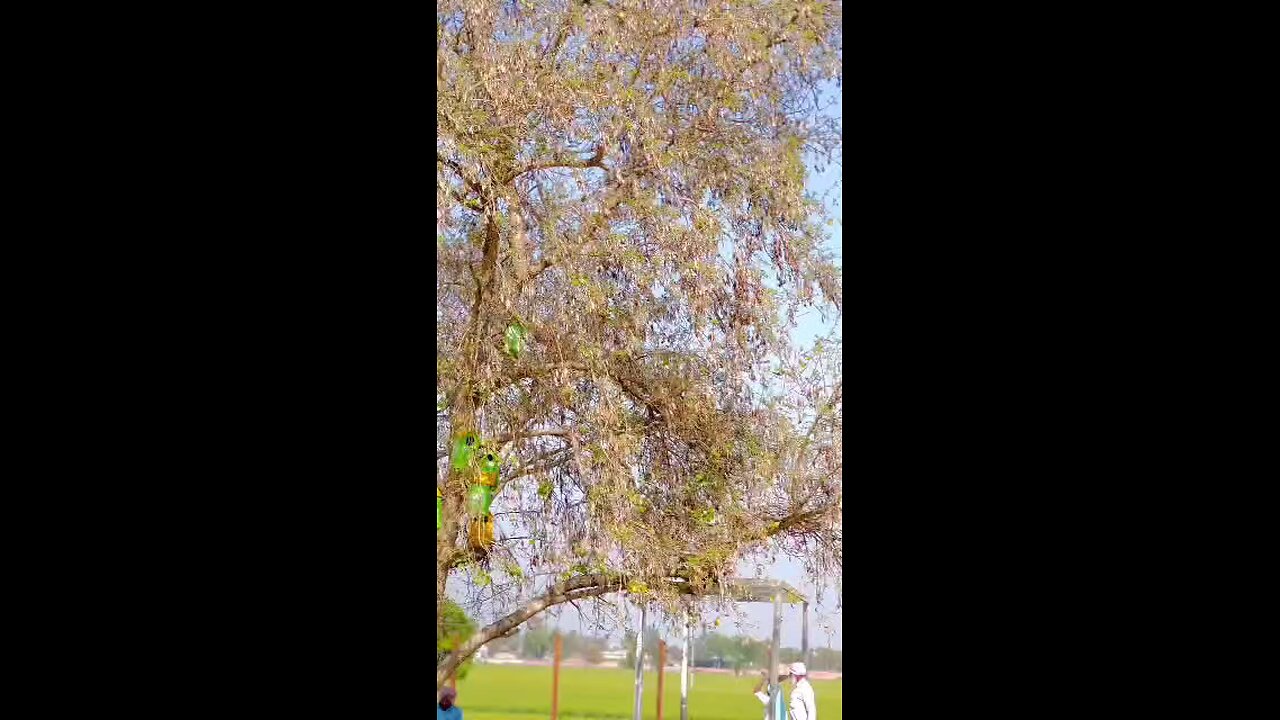 ਸਿੱਧੂ ਮੁੱਸੇ ਵਾਲਾ