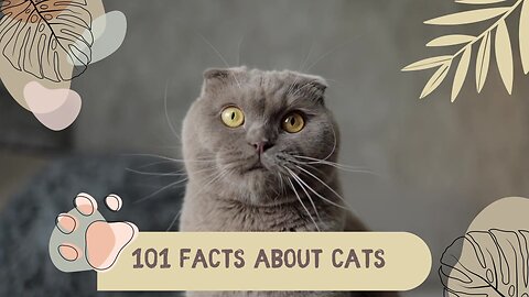 Cats Fact.