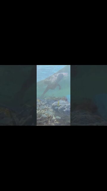 Beyond the Sea: Discover Saipan!