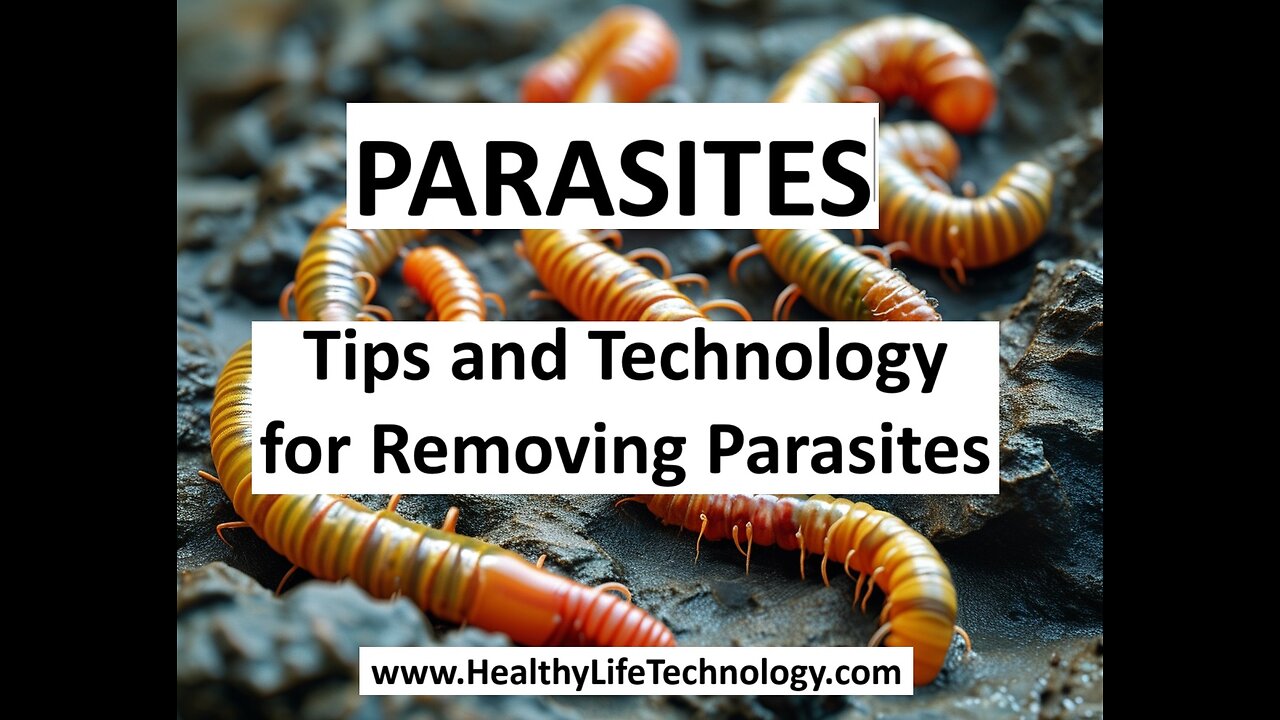 Parasites - Where Are They? How to Remove Them?