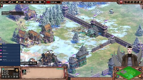 JRBD (Burmese) vs TW#1 (Poles) || Age of Empires 2: Definitive Edition