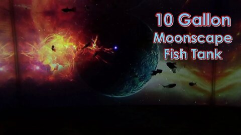 10 Gallon Moonscape Fish Tank