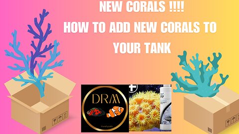 Adding New Corals to My Marine Fish Tank - Step by Step Guide