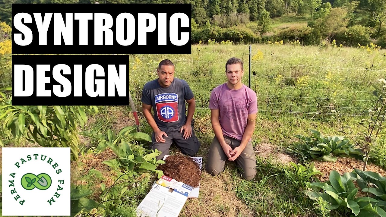 Syntropic Design: Preparing The Orchard