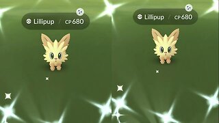 Shiny Lillipup Reaction