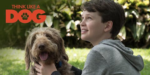 Think Like A Dog | Official Trailer | 2020