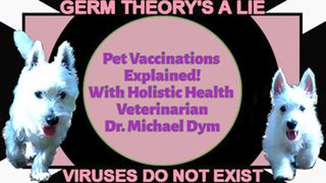 Pet Vaccinations Explained! With Holistic Health Veterinarian Dr. Michael Dym