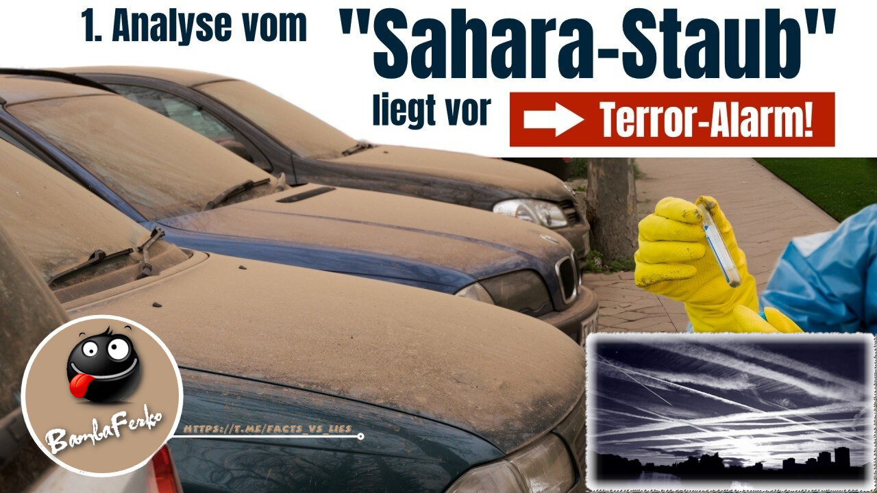 Terror-Alarm! Analyse von «Sahara-Staub» liegt vor.