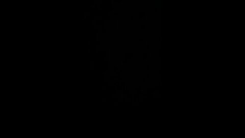 How to pronounce establishmentarian