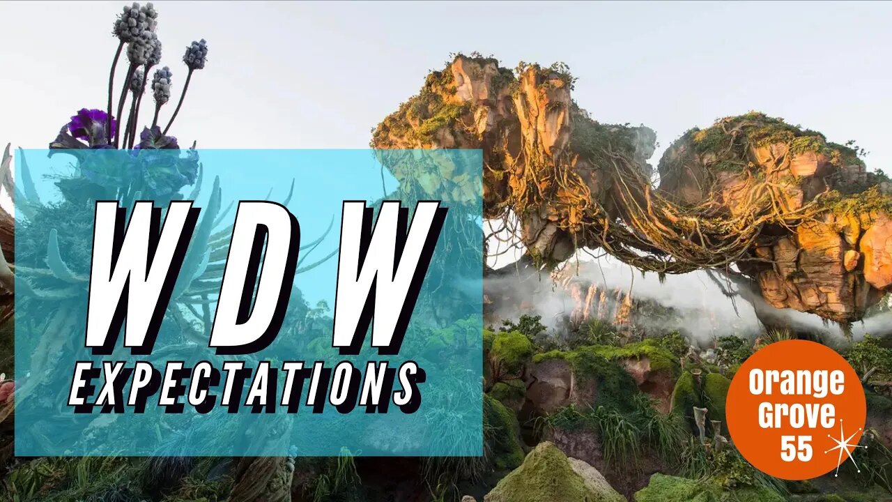 Walt Disney World Expectations vs Reality | OG55